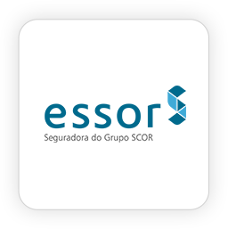 041_essor